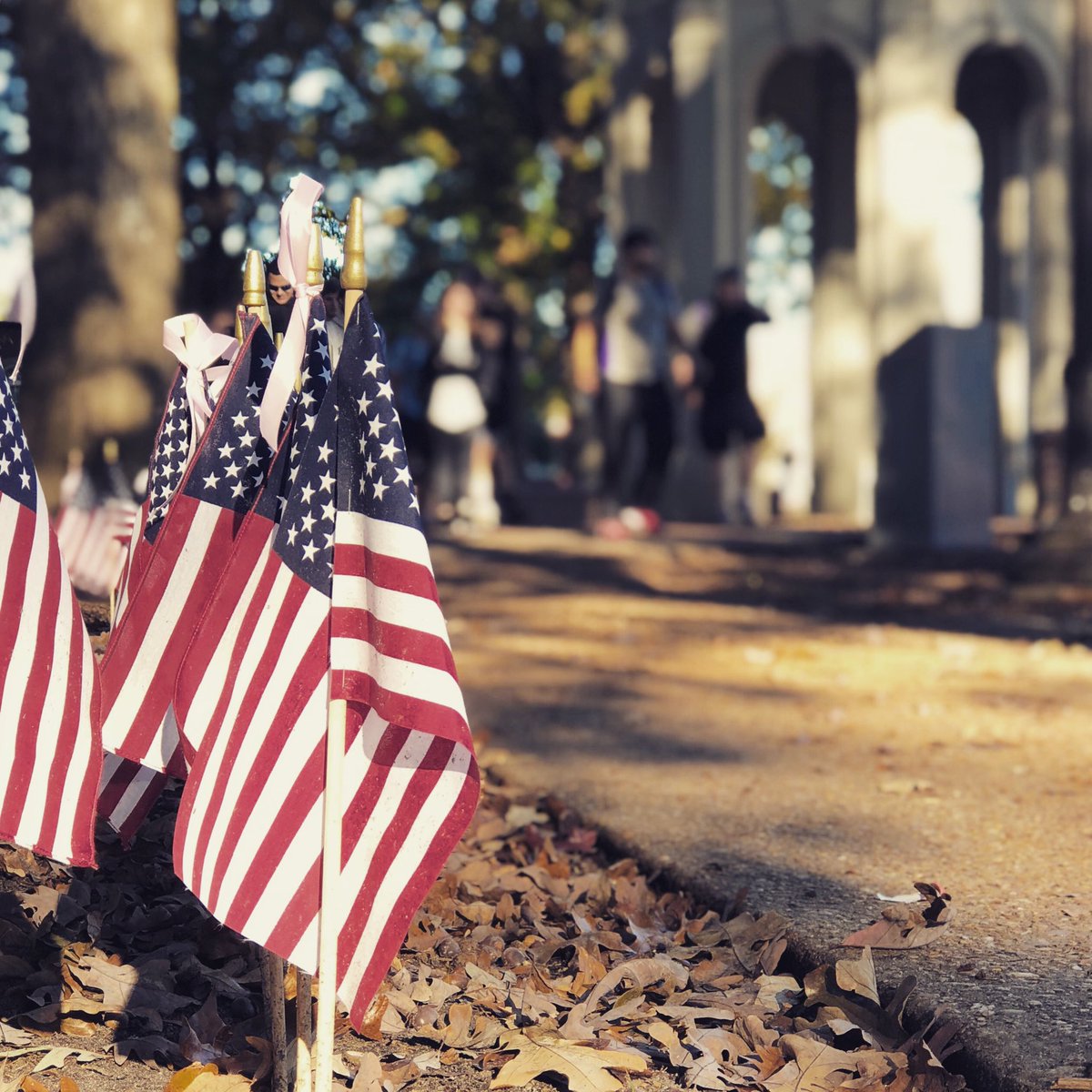 Have you visited the Field of Honor display on campus yet? We 💜 this Veterans Day recognition! #ecuviews <a href="/ECUSVS/">ECUVeteranServices</a>