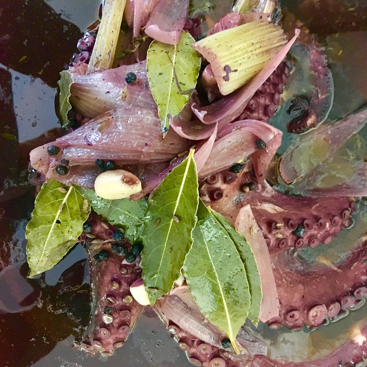 Red wine braised #octopus will be in great shape on tonight’s menu #stokenewington #n16