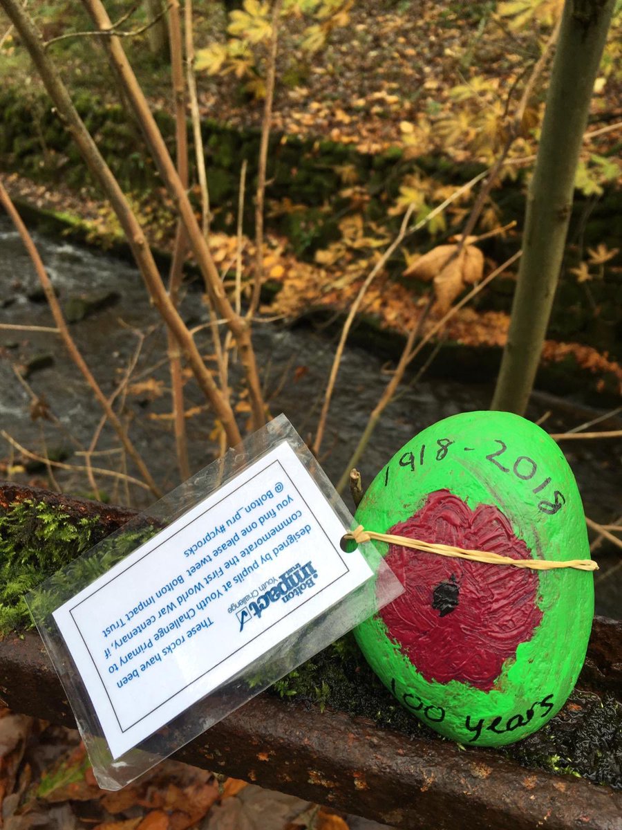 joannebrine's tweet photo. Great rock poppies by local school children spotted at barrow bridge ⁦@bolton_pru⁩ #cyprocks good work kids! https://t.co/Voy5Sr2Lff