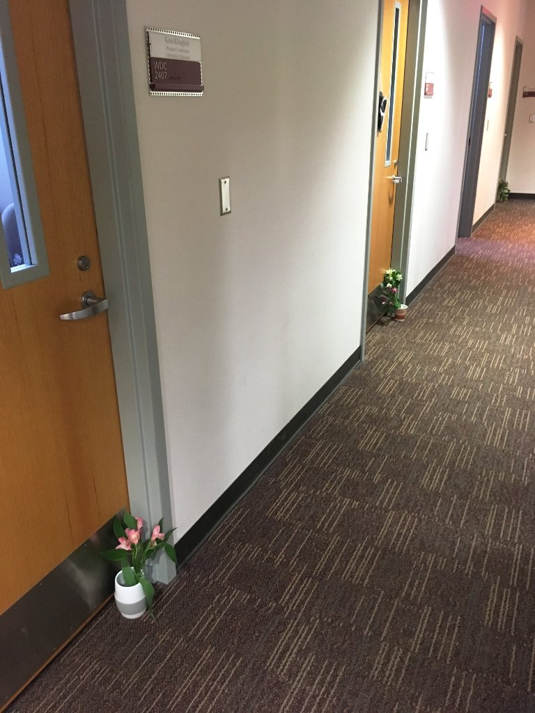 The Flower Fairy dropped by the office today, giving us a little splash of spring on the day it's supposed to snow!