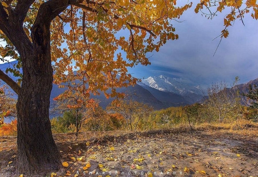 umarkamran96's tweet photo. RT Gilgittheheaven: Life is the Blessing, Nature is gift , time is precious, moments are pearls, pick the pearls, enjoy the time, discover the nature, gratitude to God for every thing.
#AutumnInHunza #GilgitBaltistan #BeautifulPakistan https://t.co/MxoH6FQKmG Follow Amazing_PK…