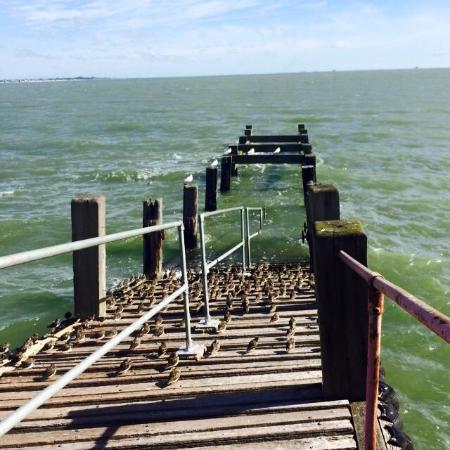 AHoneyMonster's tweet photo. #congratulations
#southend pier #voted longest pier in #Southend 
FOR the third time in the last 5 years. #welldone 
#railwaysouthend #essex https://t.co/H3b6x8YWNc