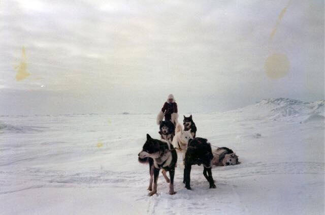 jogiese7's tweet photo. In 1985, Libby Riddles was the 1st woman to win the Iditarod, the 1,100 mile trans-Alaska dog sled race. Babe was impressed by her heroic stories. Libby didn't see herself as a hero--just a woman living out on the Alaska frontier. #hero #hero #alaska #libbyriddles #adventures https://t.co/vhn8RZzkjk
