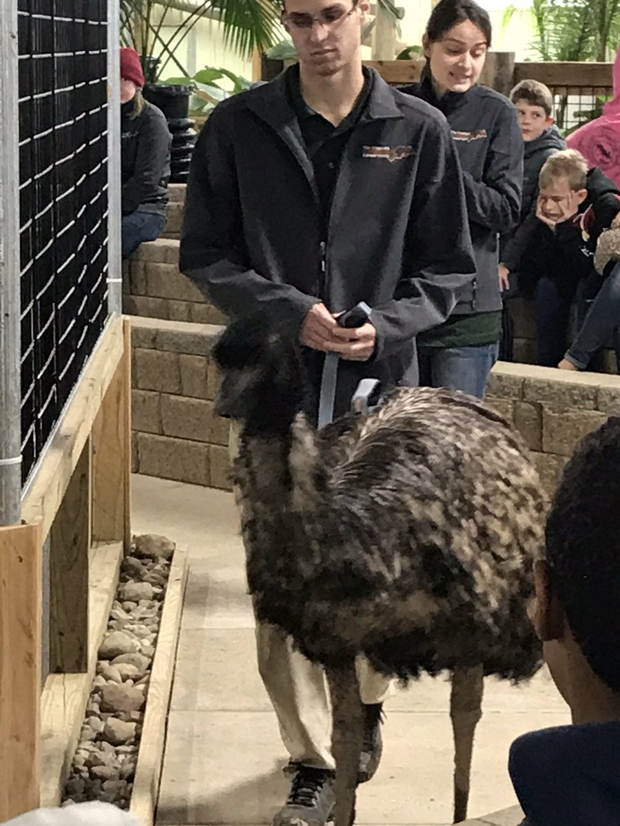 o_teandra's tweet photo. Learning about animal defenses and habitats at the Creature Conservancy! https://t.co/KufOYHtegh