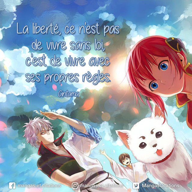 Citation Manga Anime Sur Twitter La Liberte Ce N Est Pas De Vivre Sans Loi C Est De Vivre Avec Ses Propres Regles Gintama Fanart T Co J2i3cb9uph Citationmanga Mangacitation Citationanime Citation Animecitation