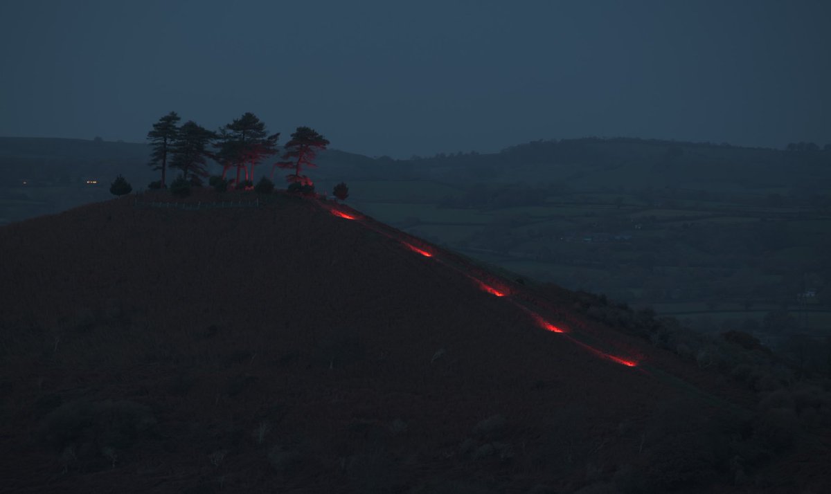 Colmer’s Hill lit up tonight for the River of Poppies. Donate here: justgiving.com/fundraising/ri… <a href="/Symondsbury/">Symondsbury Estate</a> <a href="/PoppyLegion/">Royal British Legion</a> <a href="/Dorset_Hour/">#Dorsethour</a> #ThankYou100