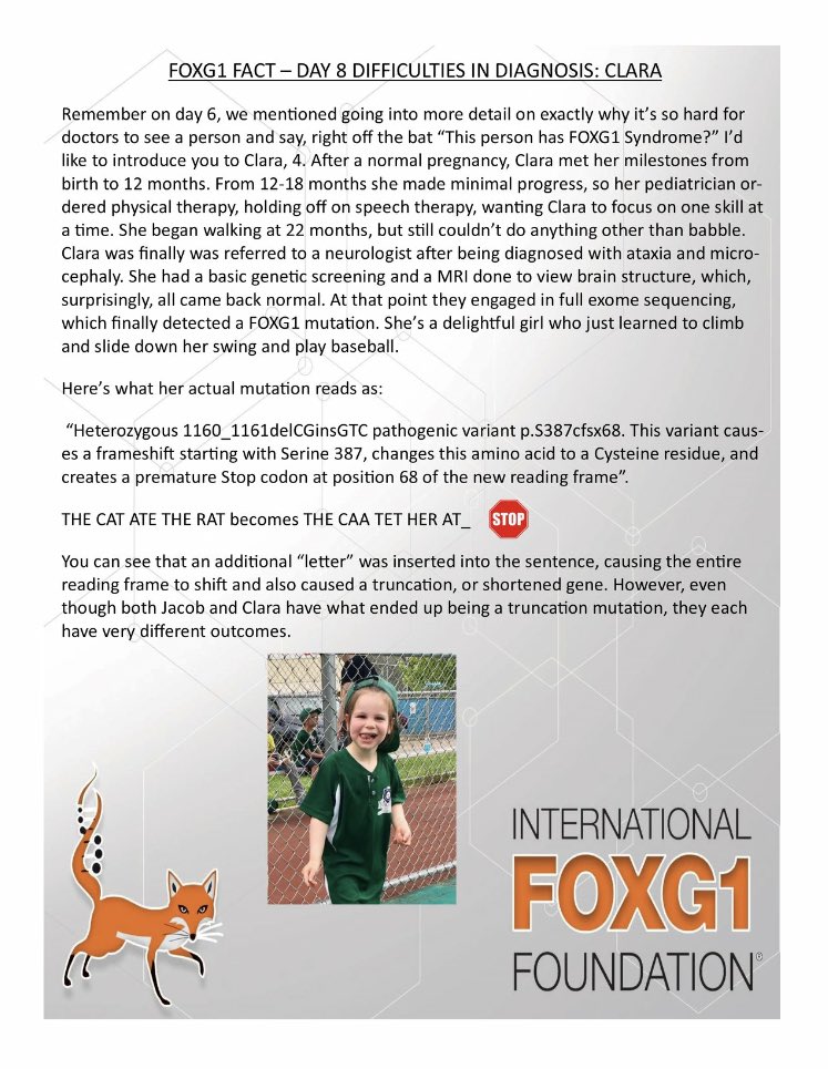 IFF FOXG1 (@iff_foxg1) on Twitter photo 