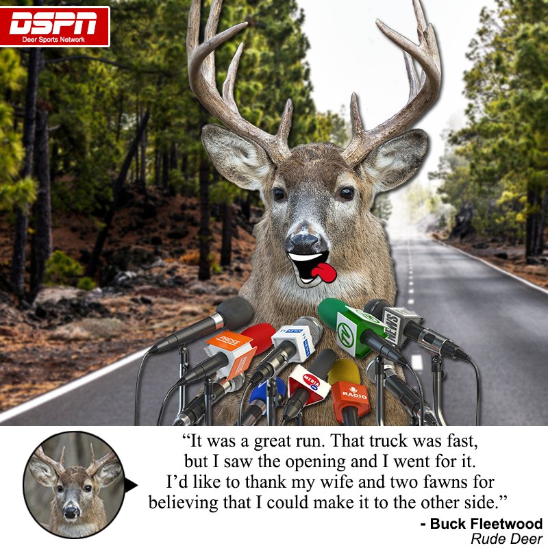 Our favorite Thanksgiving pastime might be watching/playing football. A deer's favorite pastime is running in front of cars and then bragging about it to deer sports reporters. Are you watching out for deer when you are driving? #Deer #DeerShaming #PetShaming
