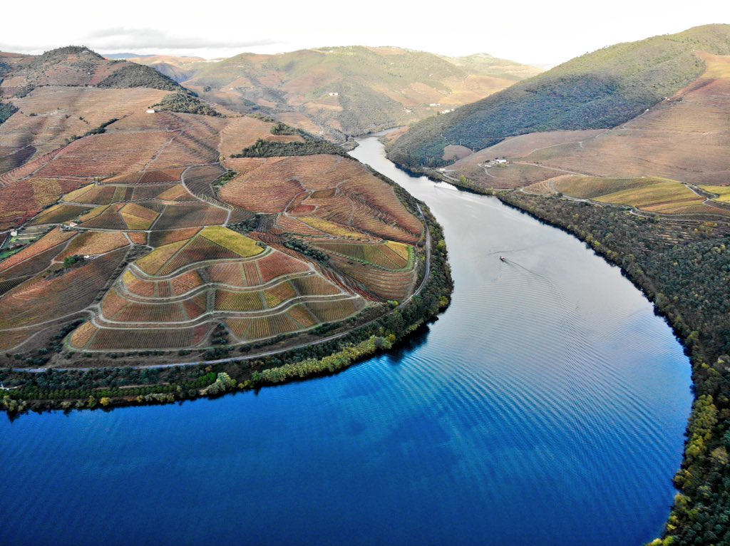 RT <a href="/andrerib/">Andre Rib - SEO Engineer</a>: How does one simply go home after a day in one of the most beautiful gardens in the world? 😶🙏 Always difficult to depart from there 😔 #dourovalley #portugal  #winetalks