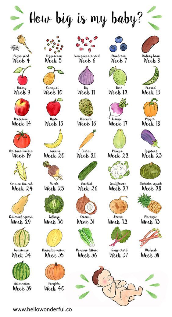 How big is my baby? Love this sweet infographic showing the size of your baby when you're pregnant, as it compares to fruits and vegetables. #baby #babysize