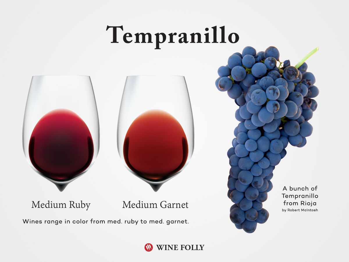 It’s #TempranilloDay! Time to serve up some tapas, pour a glass, and learn about this Spanish specialty! 

wfol.ly/2RKncBN