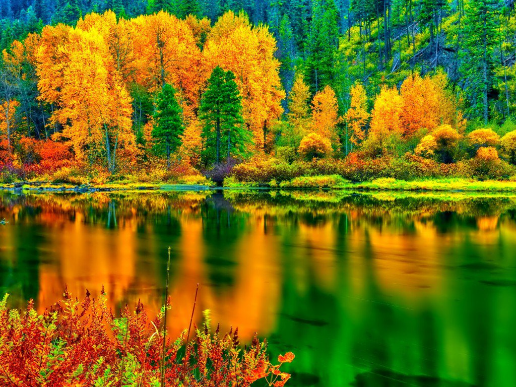 Яркие краски осени как будто растворились в воде...