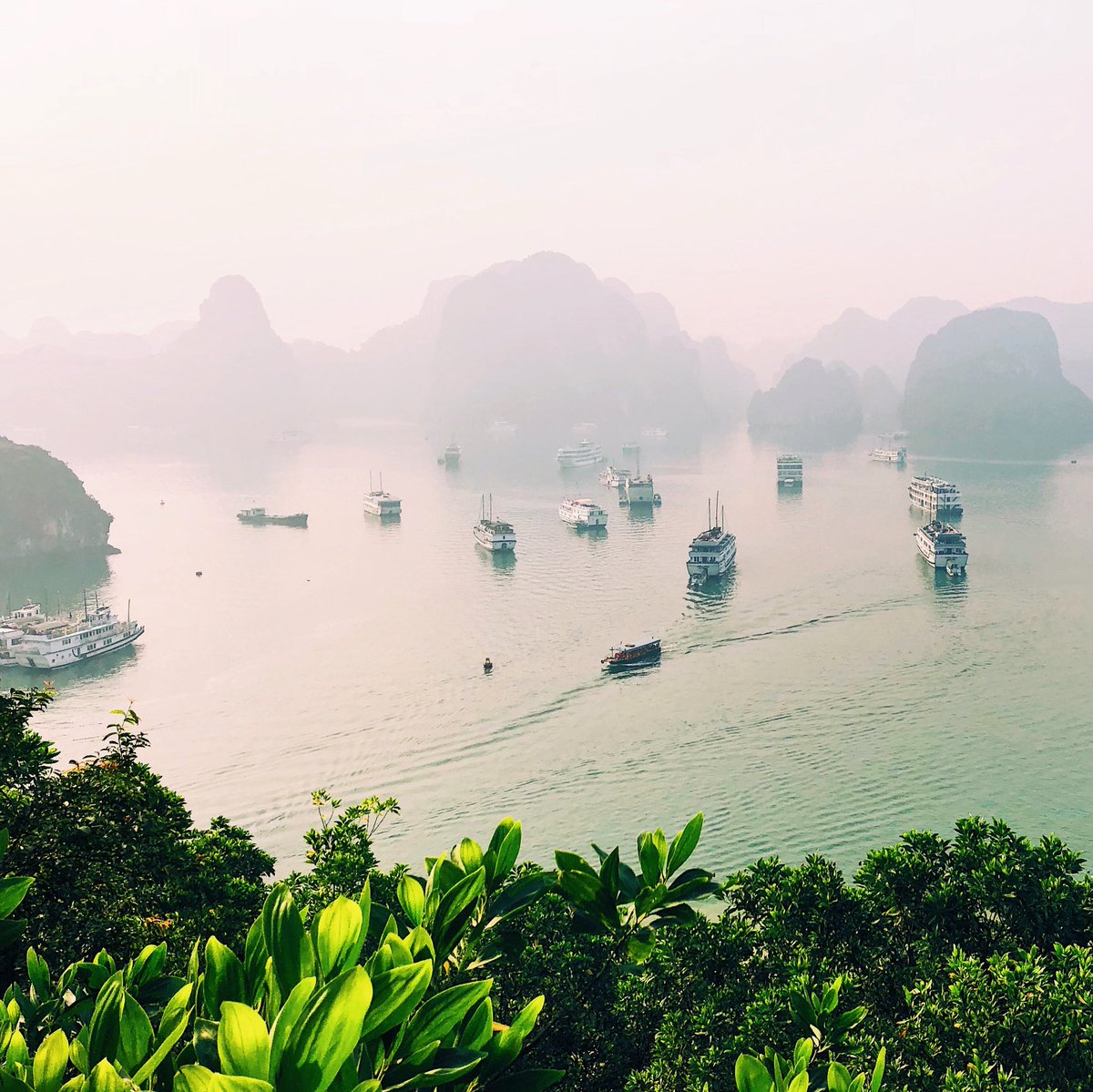 stillryancond's tweet photo. Vietnam 😍 https://t.co/Izn3mTuDBU