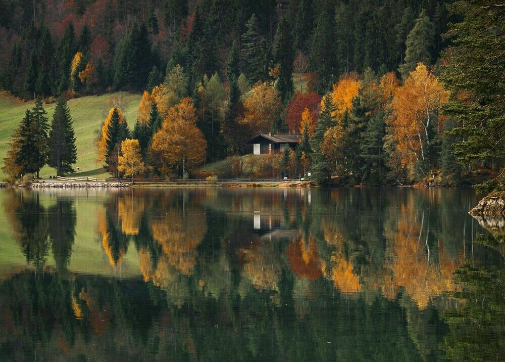 И тёмный лес по осени расцвечен...