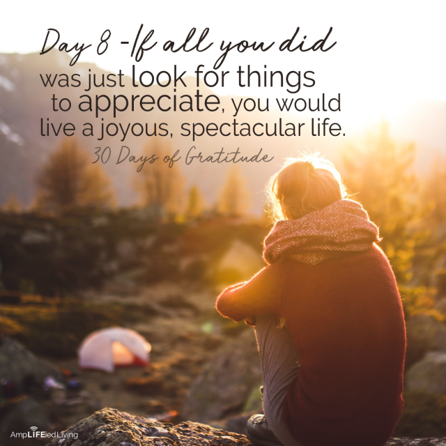 CraigRanchChiro's tweet photo. 30 Days of Gratitude https://t.co/KT32jQrv9i