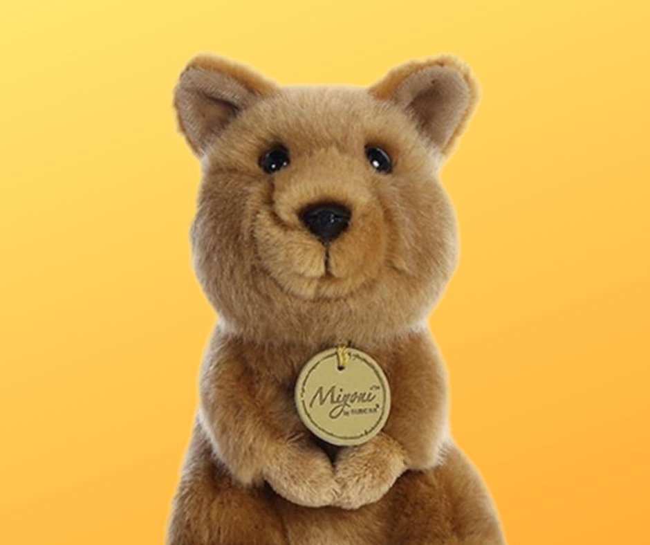 stuffed safari location