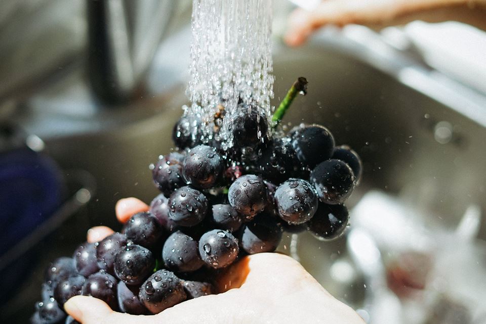 behydrowise's tweet photo. Al You Need to Know About Scale Prevention and Bacteria Growth  https://t.co/rcqA9ZwzaW
#BeHydrowise #Water #DrinkingWater #structuredwater #revitalizedwater #waterrevitalizer #watertreatment #watersystem #waterfilter #wholehousewaterfilter #chlorine #hardwater #watersoftener https://t.co/awtJca9btD