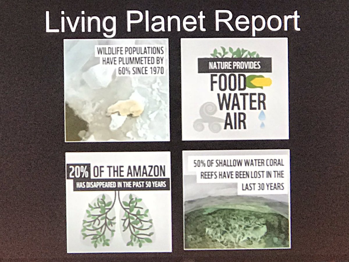 “Humans are the best problem solvers” we still can save #ourplanet Sir. David Attenborough <a href="/NetflixUK/">Netflix UK & Ireland</a> #stateoftheplanet <a href="/WWFUK/">WWF UK</a> #inspiring #lpr2018