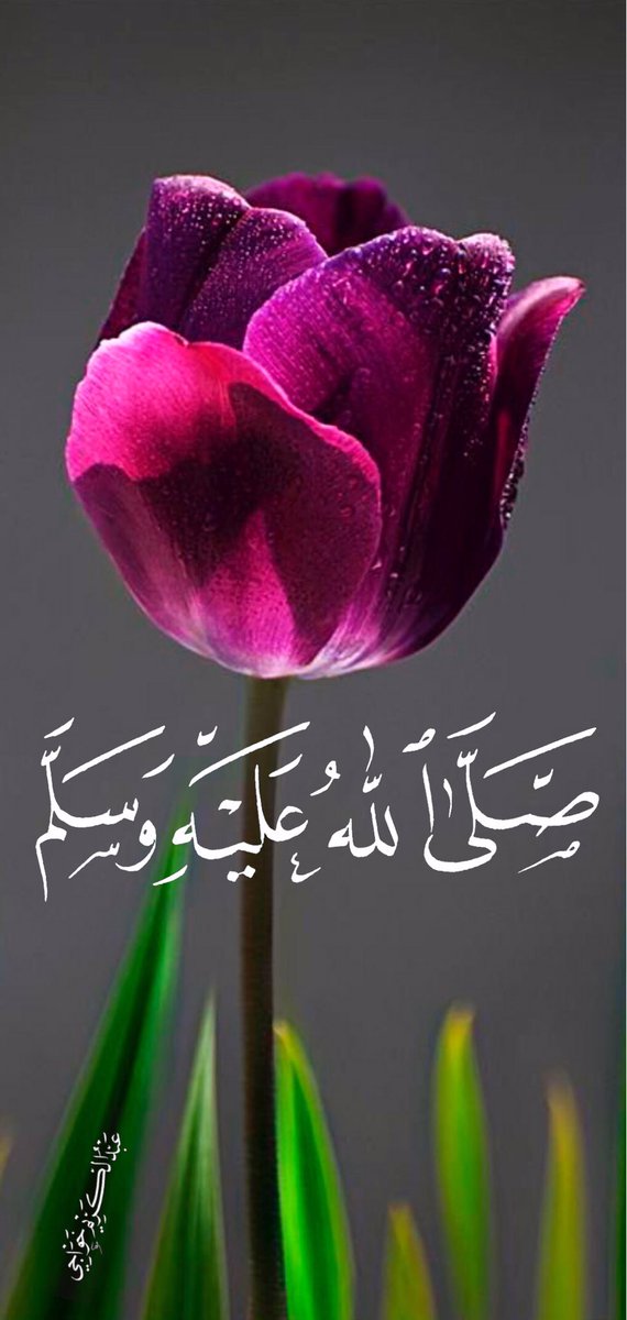 عبدالكريم خواجي 💫🇸🇦 tweet media