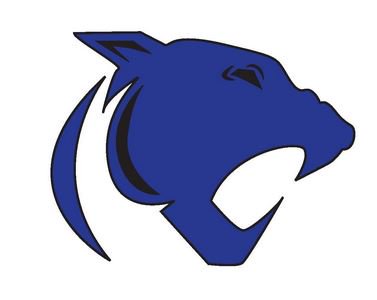 GAMEDAY INFORMATION: Little Chute vs. St. Croix Central

littlechutefootball.com/News.aspx?news…