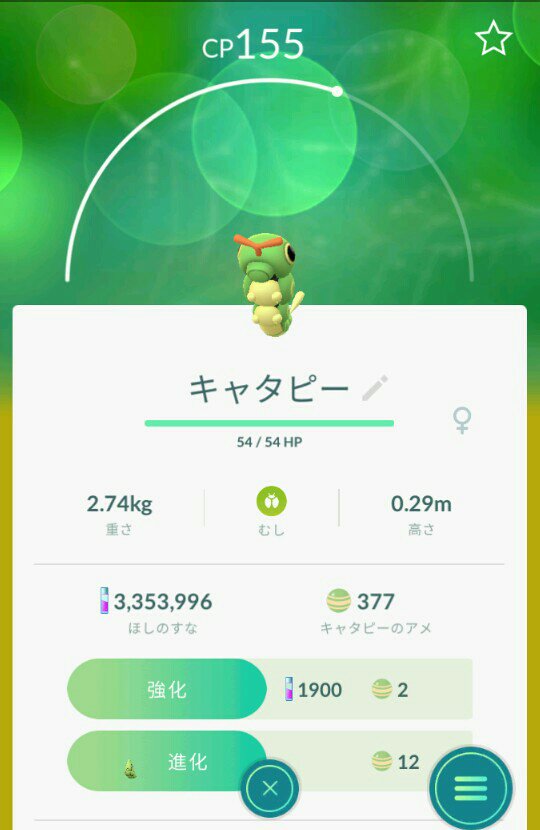 ぶんこぼん またも惨敗 色違い出ず ポケモンgo キャタピー 色違い T Co Q7yuxfmyof Twitter