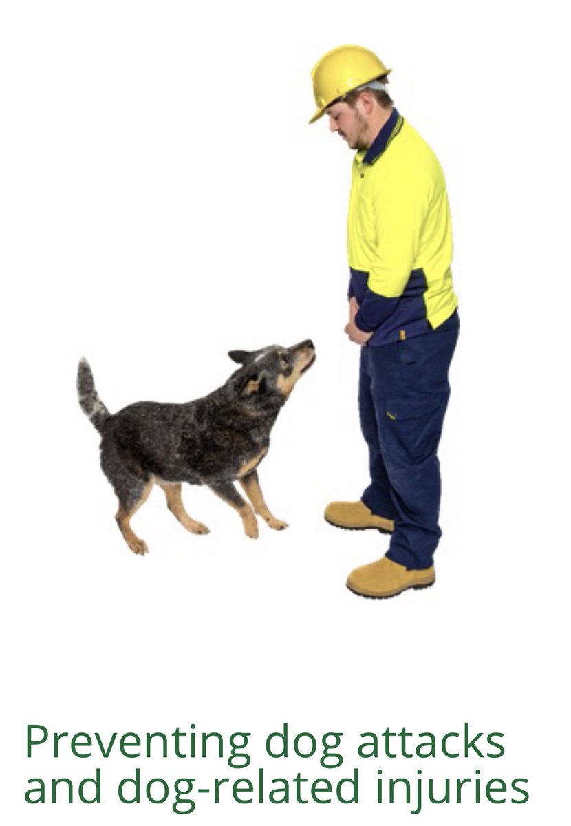 BarkBustersGA's tweet photo. Bark Buster's Stand Rite No Bite® Dog Safety Program™ - helping employers keep their people safe! CALL (877) 500-BARK (2275) to learn more #BarkDC #DogTrainingDC #dogsafety #BarkBustersofWashingtonDC https://t.co/ztKFr9McoT