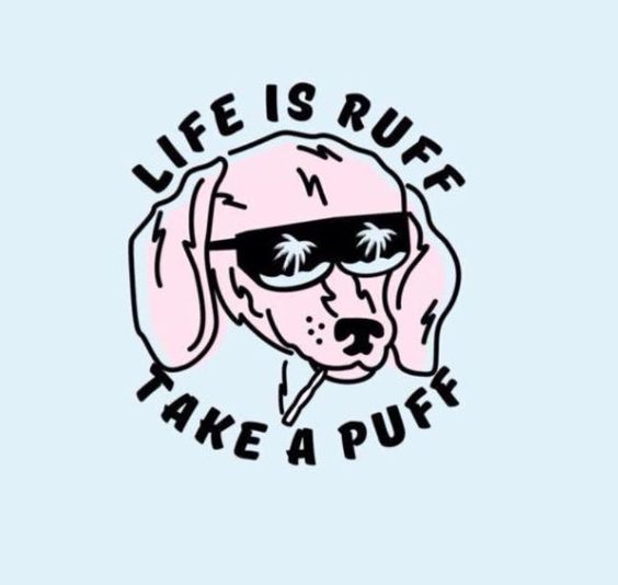 NisonCo's tweet photo. Sometimes a puff is all you need #Marijuana #Cannabis #Pot #Weed #NisonCo #NisonCoPR #CannabisCommunity #CannabisLifestyle #CannabisCulture https://t.co/2w7Dxa5QxQ
