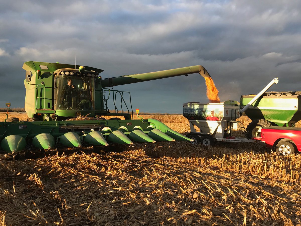 Great yields in Lanark County today <a href="/JohnMacEwenAg/">John Vanderspank</a>  <a href="/Aaron_Bowman_/">Aaron</a> <a href="/jodi_ferguson/">Jodi Ferguson</a> <a href="/SullivanAgro/">Paul Sullivan</a> <a href="/PRIDESEEDS/">PRIDE Seeds</a>
