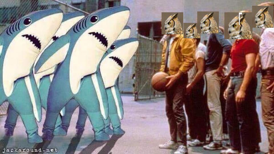 DarthPyrin's tweet photo. Was hoping it would be @halrudnick vs @MurrellDan for the speed round (no offense @billyapatterson ) but I'll still throw this out there #MovieFightsLive #westsidestory #OwlsVsSharks #OwlNation #Gahooligans #HootHoot #SharkNation #ChompChomp https://t.co/5sa5yrYcUV