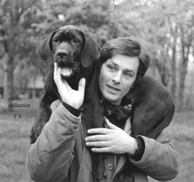 Happy Birthday to the indelible beautiful & beguiling Alain Delon 