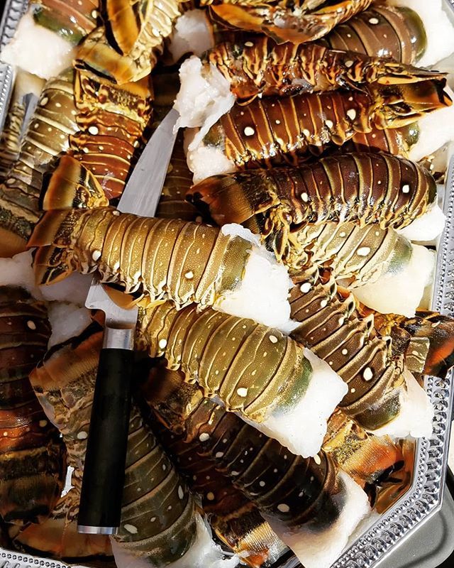GrillinFool's tweet photo. You get a lobster tail!
YOU get a lobster tail
YOU GET A LOBSTER TAIL!!!!
If you were at the @worldfoodchampionships you just might get a lobster tail!
π
π
π
π
π
#WFC2018 #UltimateFoodFight #FoodFight #ShowMeSeries #WFC #FoodSport #GoldenTicket β¦ https://t.co/oF3GIhAEdP https://t.co/erKs0Go5Kw