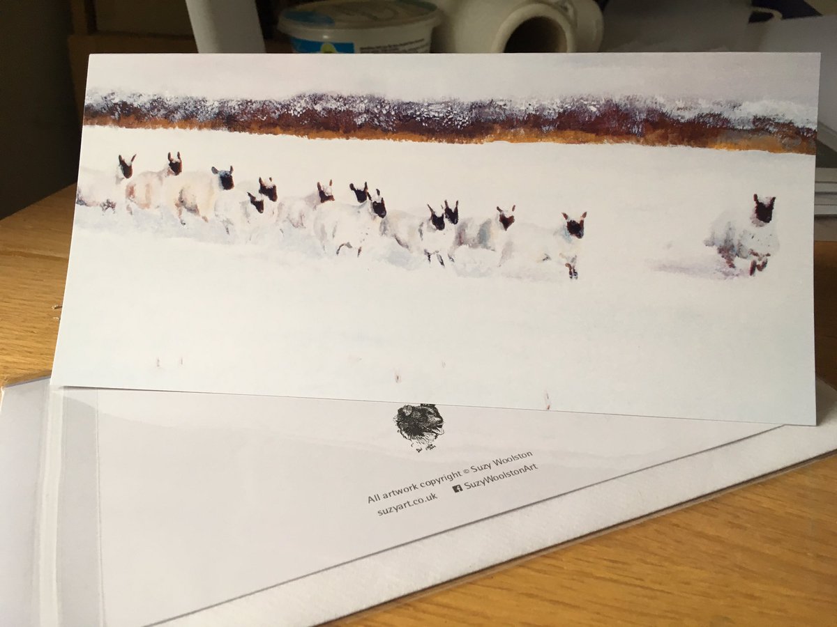 SuzyWoolston's tweet photo. This scene of sheep in the snow is now available as a Christmas card directly from me. https://t.co/O4gbagTbf0