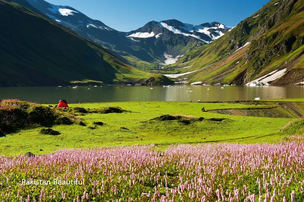 ihameed123's tweet photo. Saral Lake #BeautifulPakistan #Travelpakistan @Amazing_pk @AzharPanni @AsifNiazi55 @lost_astronomy @wasimkhatrii @Emaan_Noor5 @Rukhsana_S1 @Blackzero_199 @ishtiaqtabassum @artgurooo @imranmufti786 @HudaNauman @maddasizaq @DanyalGilani @tripkardotcom @Pakistaninpics @waqas6146 https://t.co/fw4AYQM86R