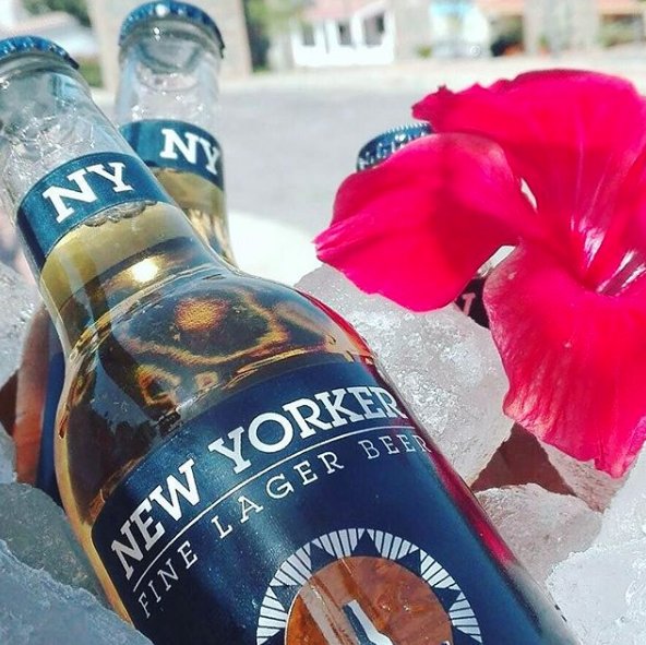 NewYorkerBeerSA's tweet photo. Sliding into the weekend like a New Yorker Fine Lager Beer.. That's right. 
#NewYorkerBeer #FineLagerWeekEnd #AsCoolAsItGets https://t.co/BwUxPAFfFV