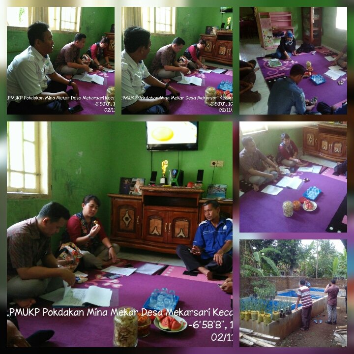 cattelya3's tweet photo. (2/11/2018) mndampingi kunjungan tim analis LPMUKP k pokd. Mina mekar ds.mekarsari kec.cipicung @fisheris_ @BudidayaKKP @puslatluhkp https://t.co/clnIJUY15J