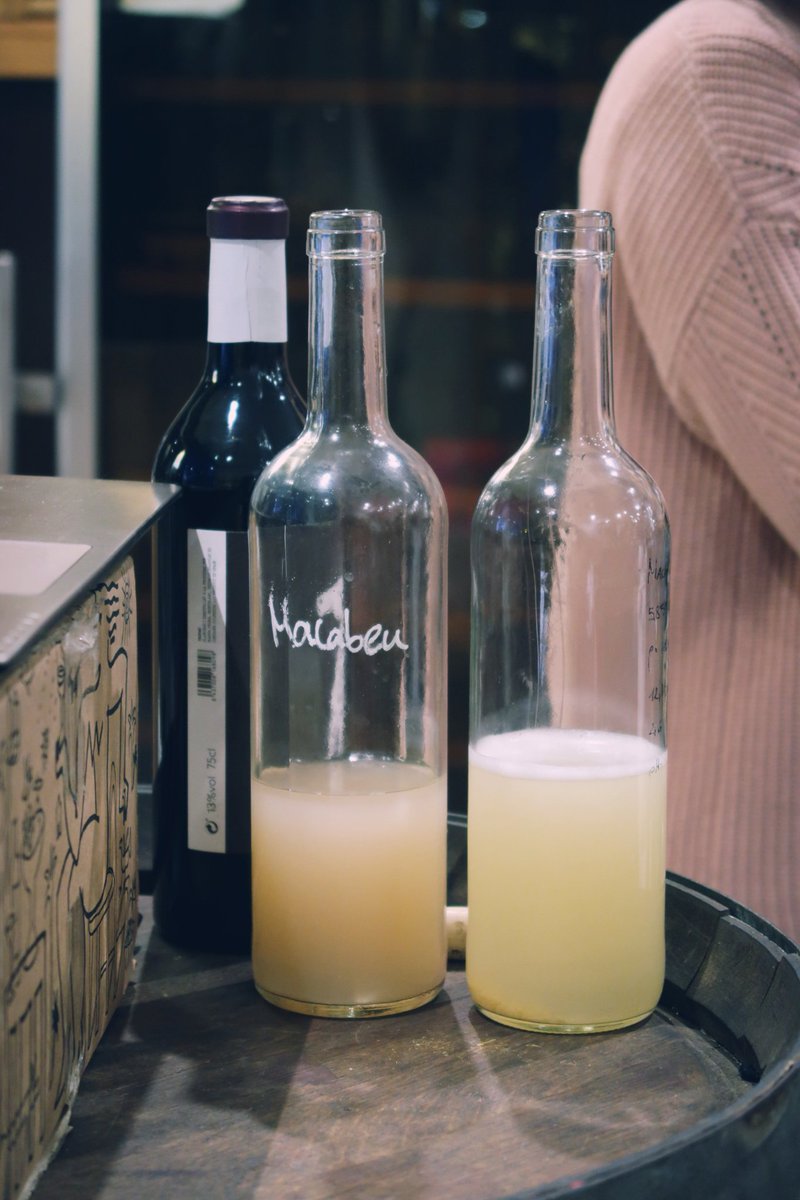 vinsdepedra's tweet photo. 😊Ahir a @alavadelacruz el grup de #WineLovers que volien descobrir la @DOConcaBarbera, ho va donar tot!
👉🏼Un gran interès pels vins però també pel territori i pel nostre projecte!
#vinsdepedra #doconcadebarbera #montblanc #vicatala #catalanwine #roadbcn #alavadelacruz https://t.co/yNCR3P9DIA