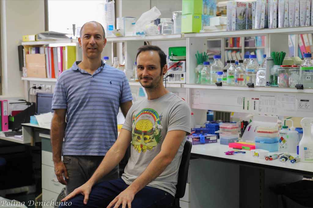 laxmionline's tweet photo. #HebrewUniversity researchers discover promising treatment for #Glioblastoma, validated in mice model #braincancer https://t.co/mHJnRUJQKk https://t.co/TFyfPGFk37