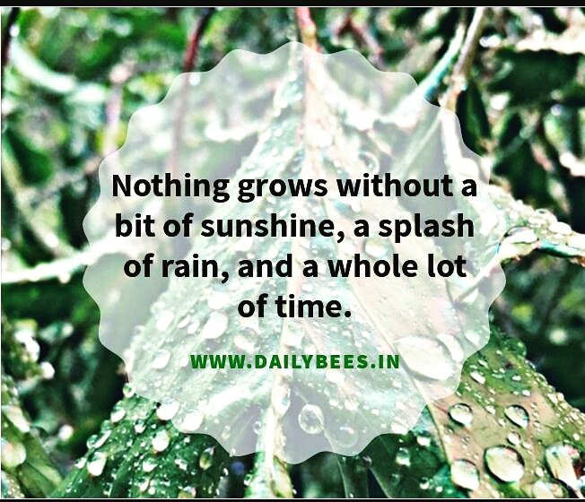 DailyBees1's tweet photo. Have patience guys, the best is yet to come....
#thoughtfortheday #FridayThoughts #fridayfeeling #motivationalquotes #inspirationalquotes #wordsofwisdom #lifequotes #bloggerstribe #Bloggersgroup #Dailybees https://t.co/H8WmVQ6Od3
