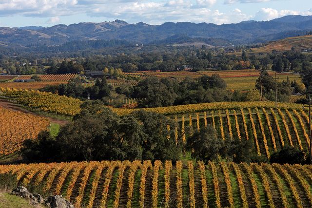 Hello Fall 🍁🍂🍃

📷 from <a href="/jordanwinery/">Jordan Winery</a> 

#winecountry #fallcolors #winetasting #alexandervalley #sonomacounty #cabcountry