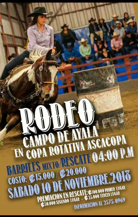 Campo de Ayala (@campodeayala1) on Twitter photo 
