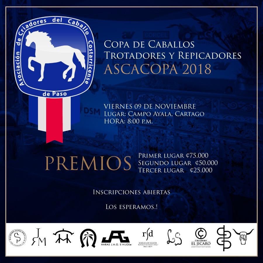 Campo de Ayala (@campodeayala1) on Twitter photo 