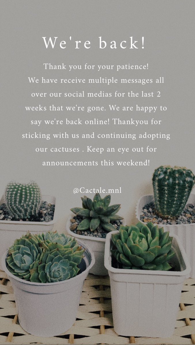 cactalemnl's tweet photo. We're back! 🌵🤗 https://t.co/okATpCUUpn