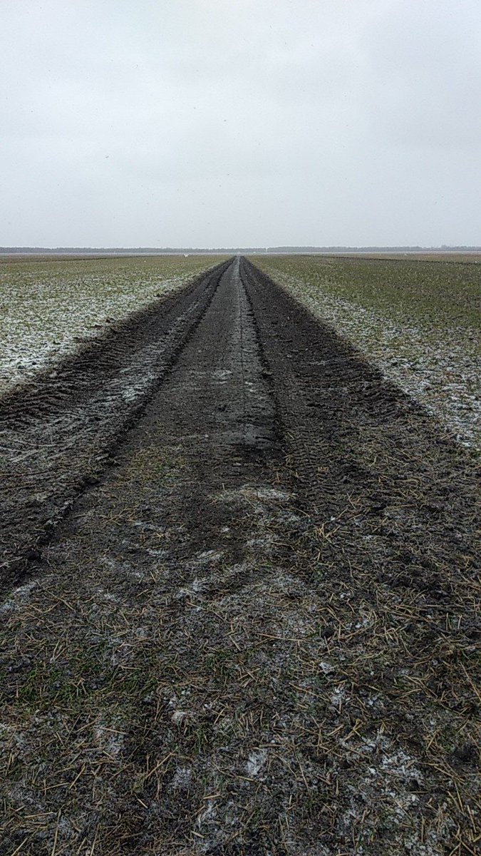 RMNwheatfarmer's tweet photo. I can't believe how well this machine works in wet clay soil. And it's 19 degrees out Nov. 8 #Crary #RevolutionDitcher https://t.co/LUUPRmFM7J
