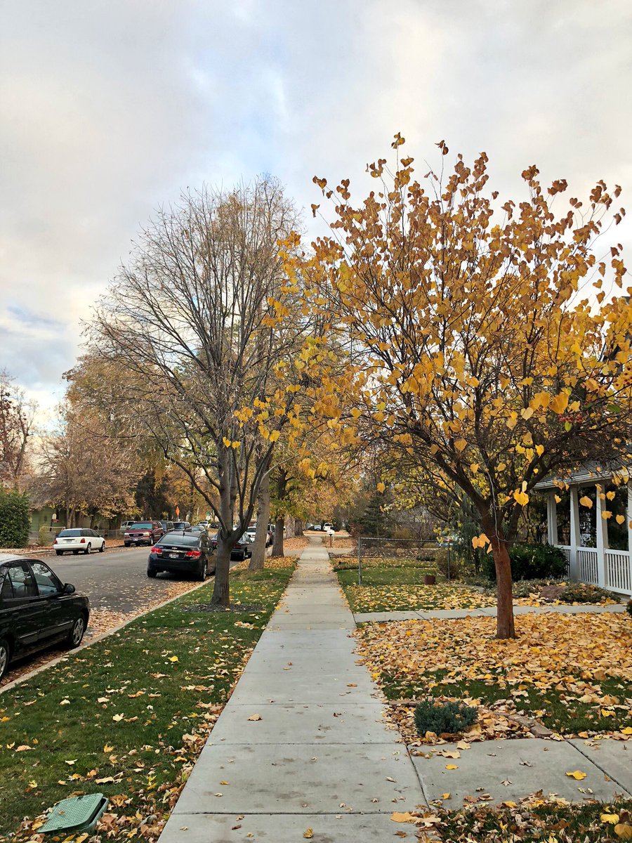 Hanson555Sam's tweet photo. Fall in Boise https://t.co/EQddS7oP9i