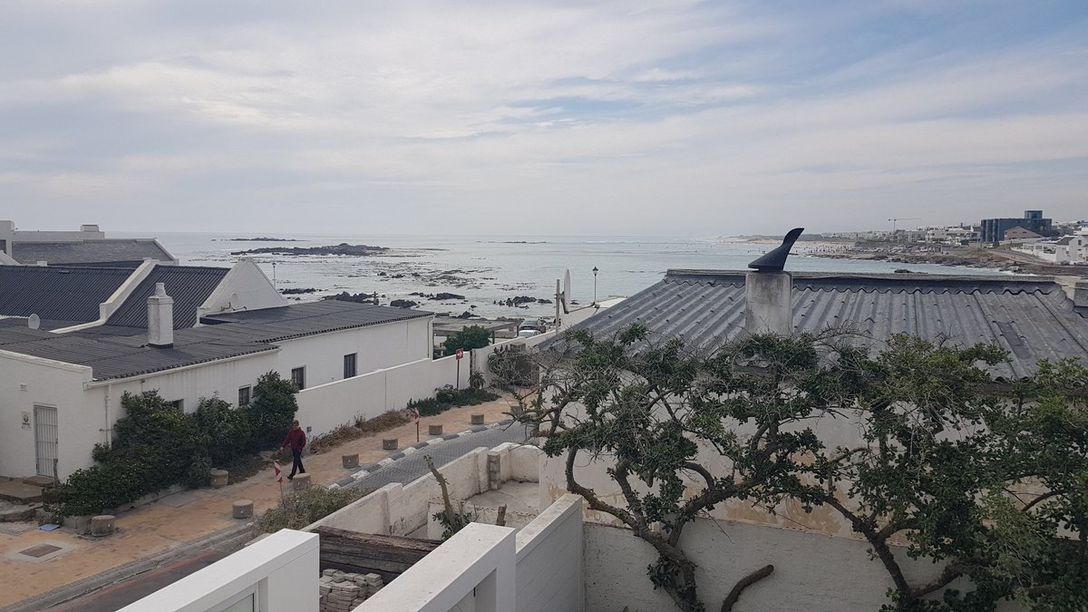Fran4262's tweet photo. @Rudolphlil @altus_diener @Stevo9386 @Ryan12308423987 @mmmheste @Zaan4262 #whereisfish #whereiswally https://t.co/9dLNsqFOVH