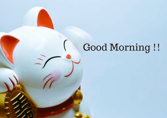 mustehsin49's tweet photo. Good morning. https://t.co/53njiRJz63