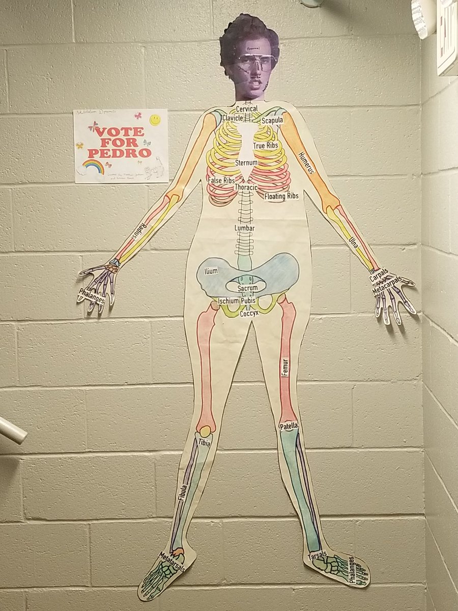 jenlynchalt's tweet photo. We have been learning, working and having fun in A&P and Health Science! #futurehealthpros @raylecomte @DCcougarnation https://t.co/WbDyAAIRWl