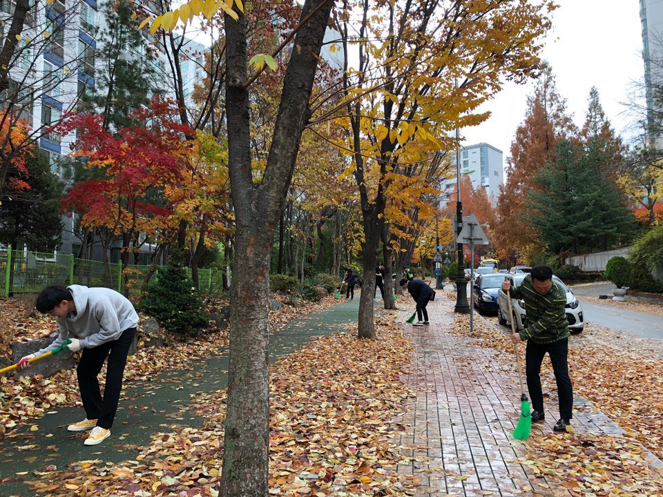 guten83's tweet photo. #성남시 #분당구 #분당동(동장 김헌주)에서는

어제 내린 비와 강풍으로 도로에 쌓인 낙엽을 정비하였습니다. 

도로에 쌓인 낙엽으로 보행에 불편함이 없도록 지속적으로 정비하겠습니다. https://t.co/OKykRESjqa