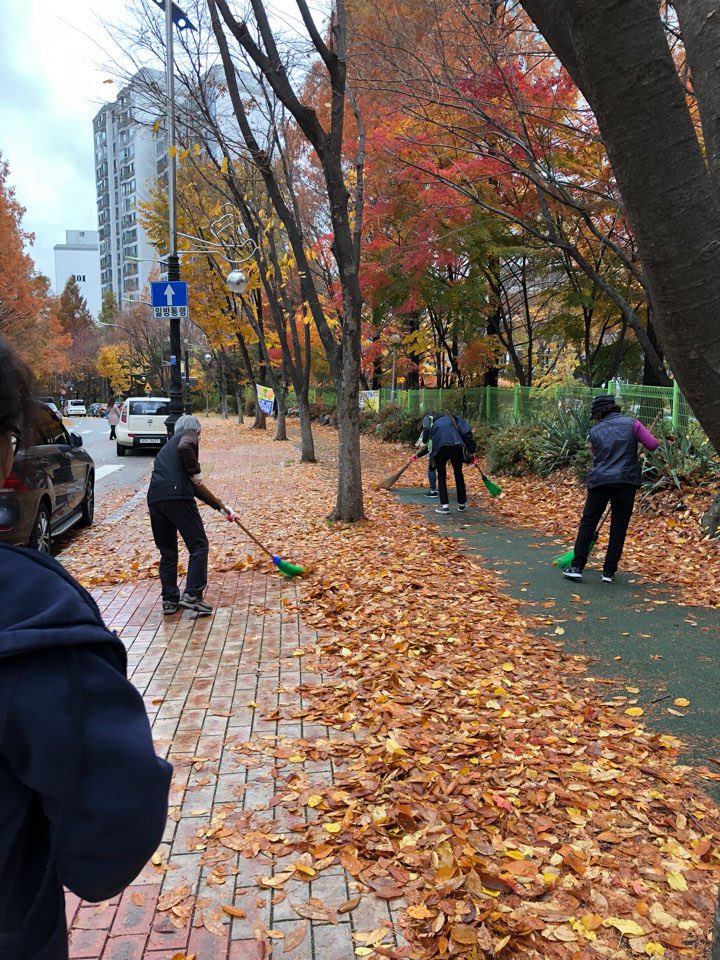 #성남시 #분당구 #분당동(동장 김헌주)에서는

어제 내린 비와 강풍으로 도로에 쌓인 낙엽을 정비하였습니다. 

도로에 쌓인 낙엽으로 보행에 불편함이 없도록 지속적으로 정비하겠습니다.