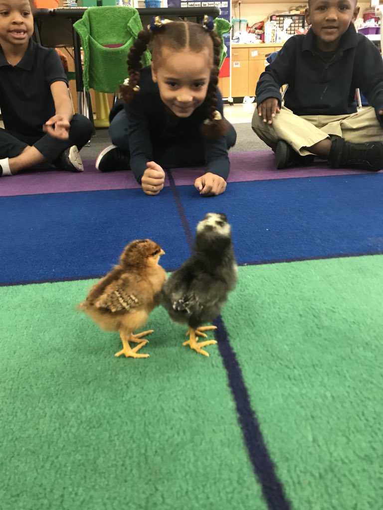 mrs_santore tweet picture
